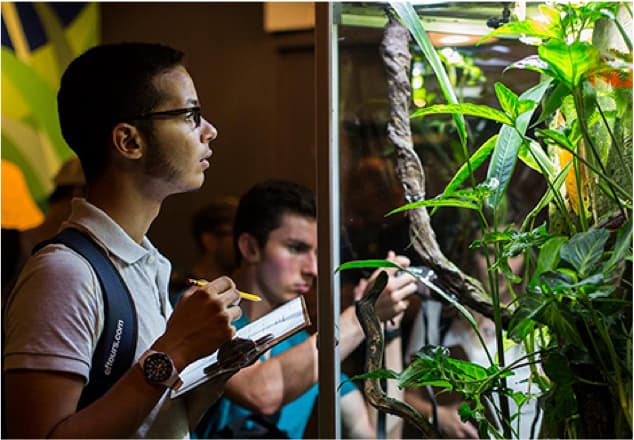 EF Educational Tours