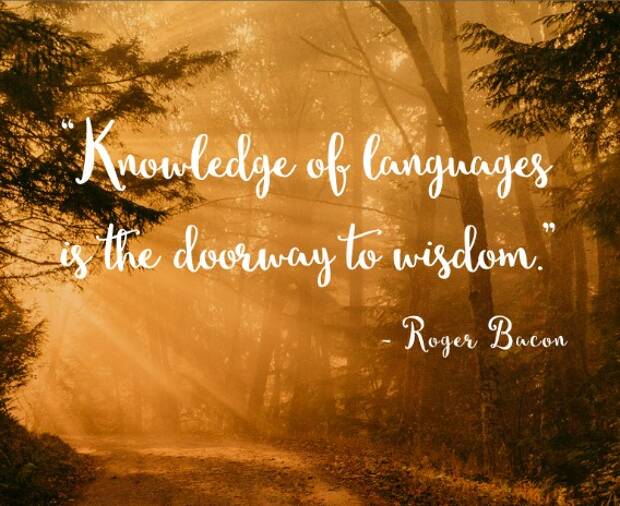 17 language quotes to turbocharge your learning