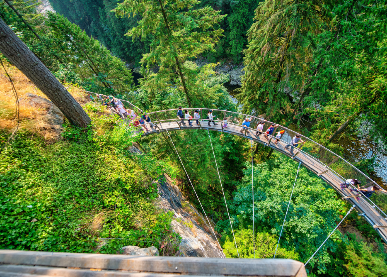 Capilano hengebropark