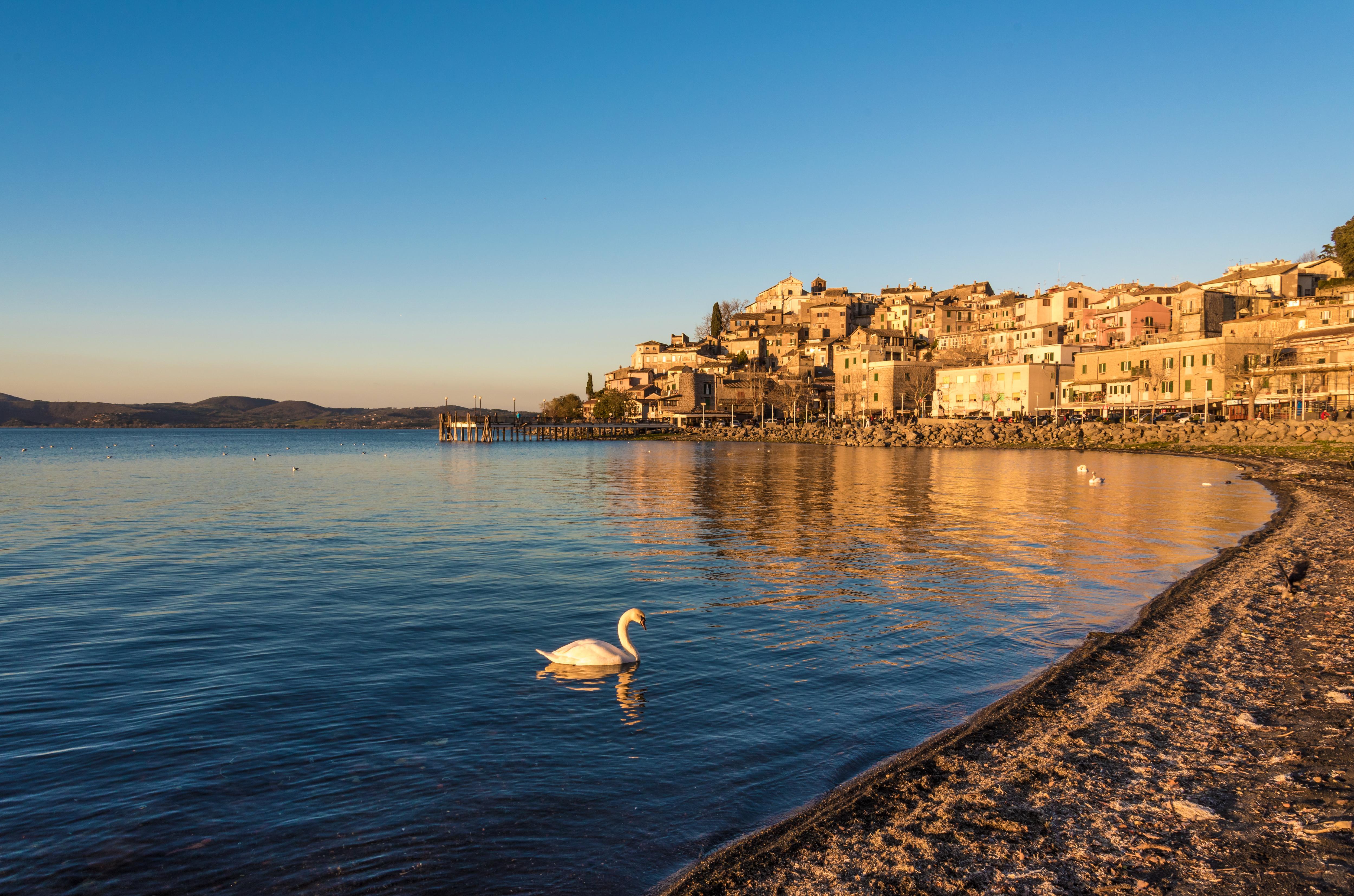 Anguillara Sabazia beach view with swans gliding across tranquil waters