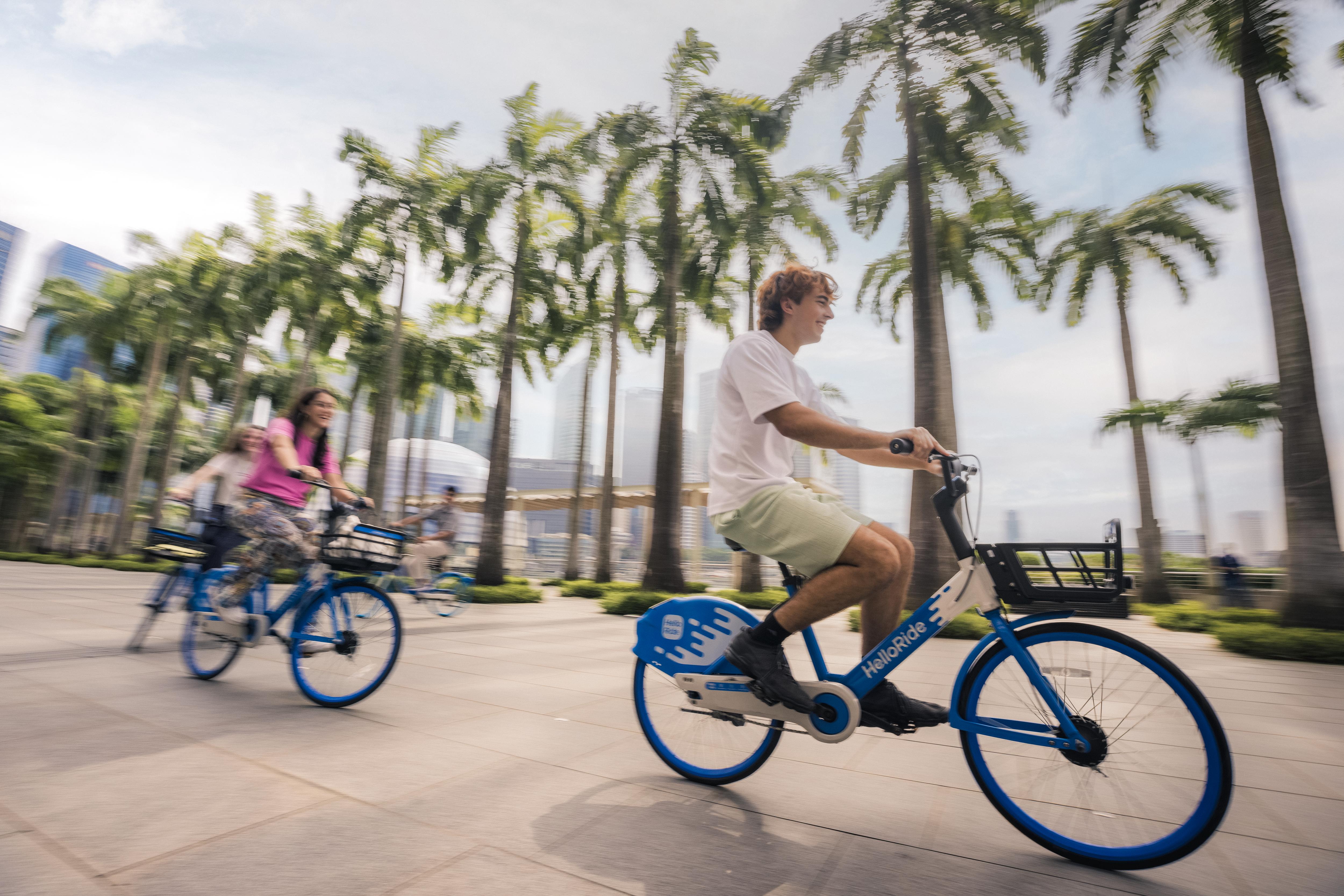 Students cycling along a palm-lined waterfront path