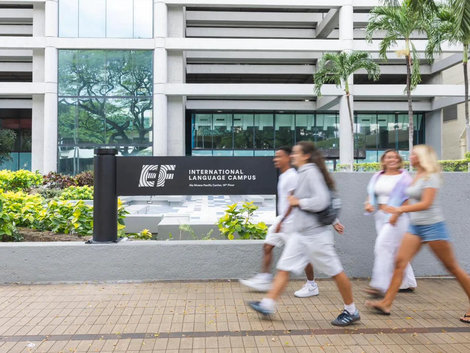 Students Walking At Entrance