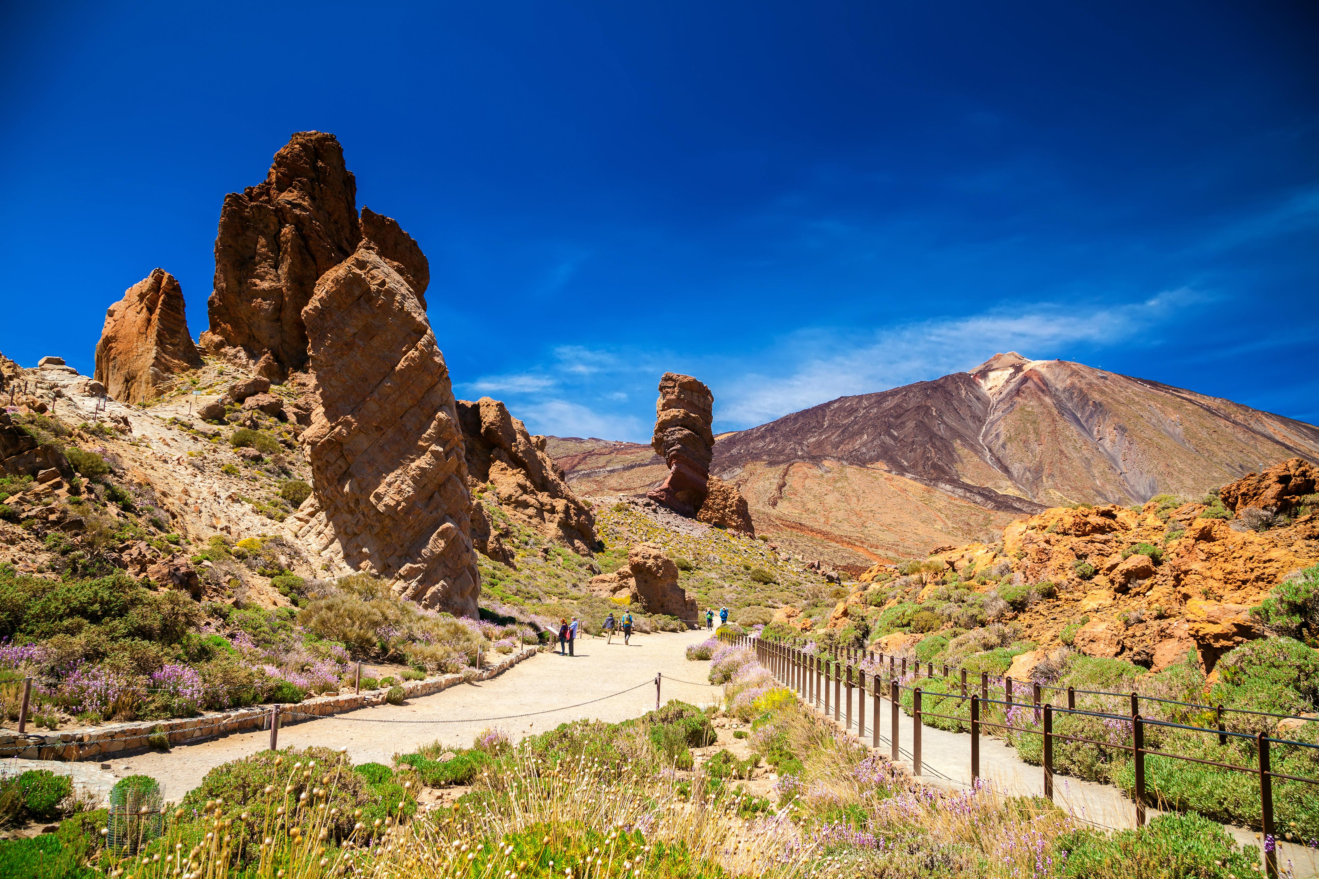 Students trekking in Teide National Park, exploring volcanic landscapes