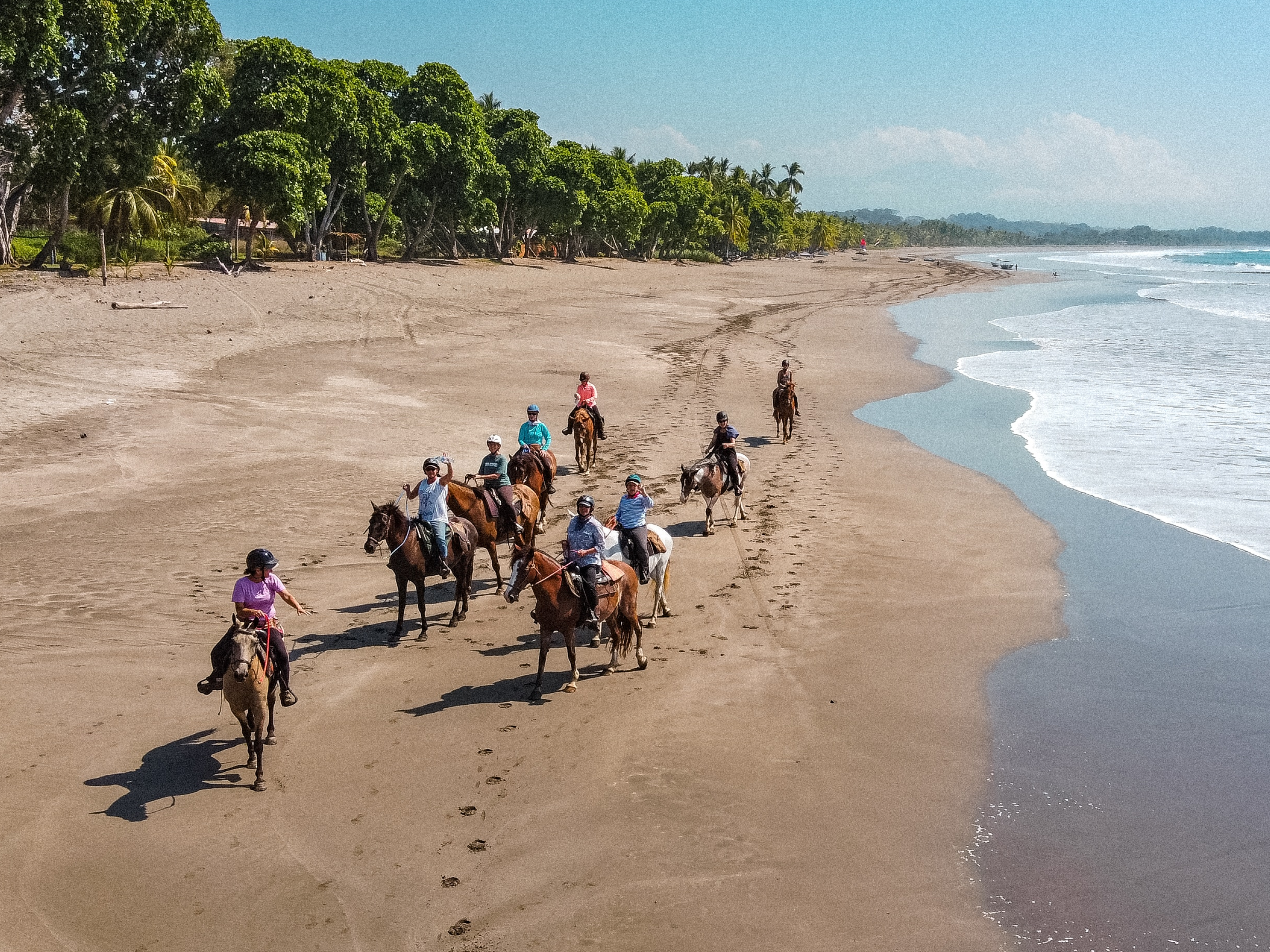 Horse Riding Near Beach