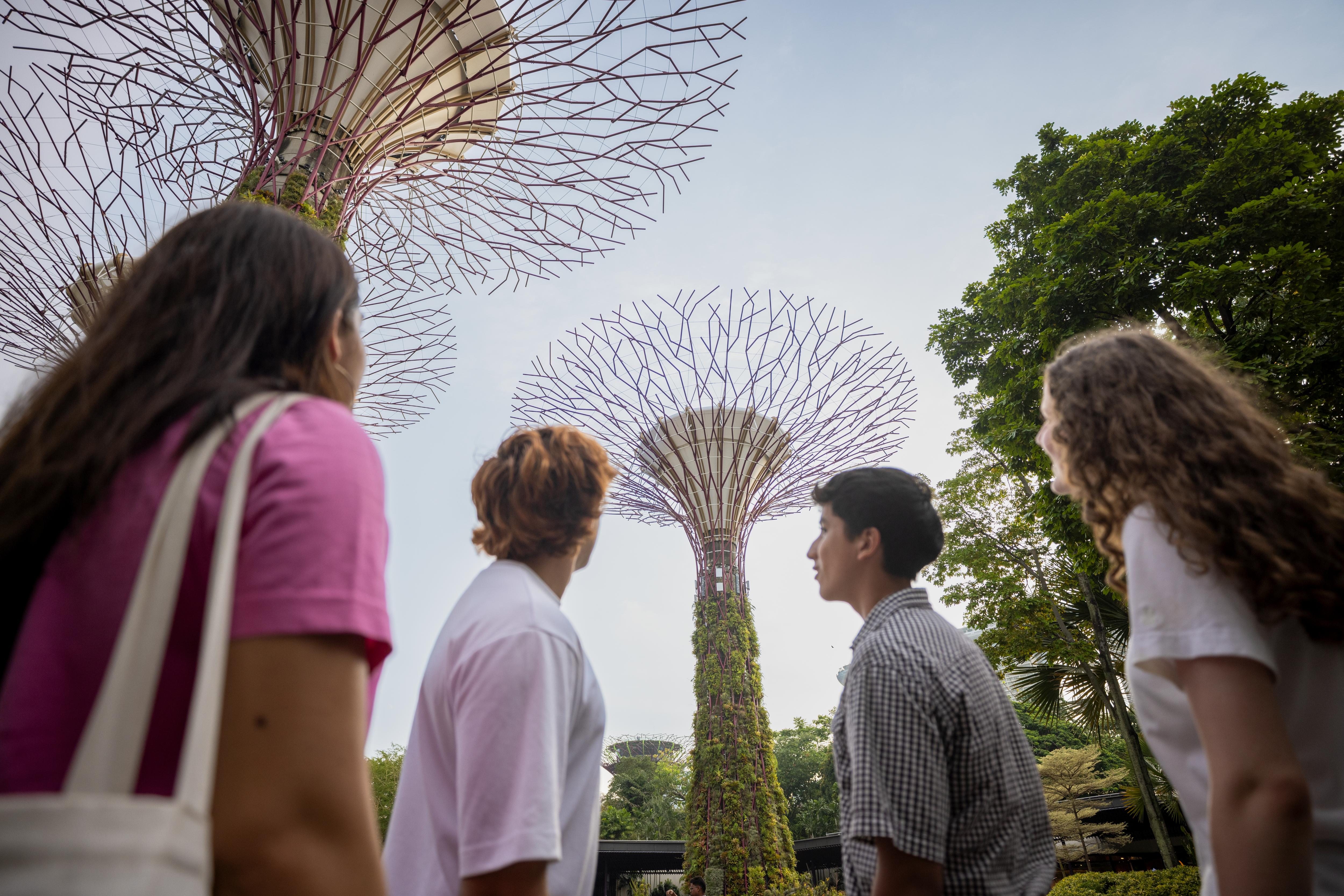 Students exploring Singapore’s Supertree Grove at Gardens by the Bay