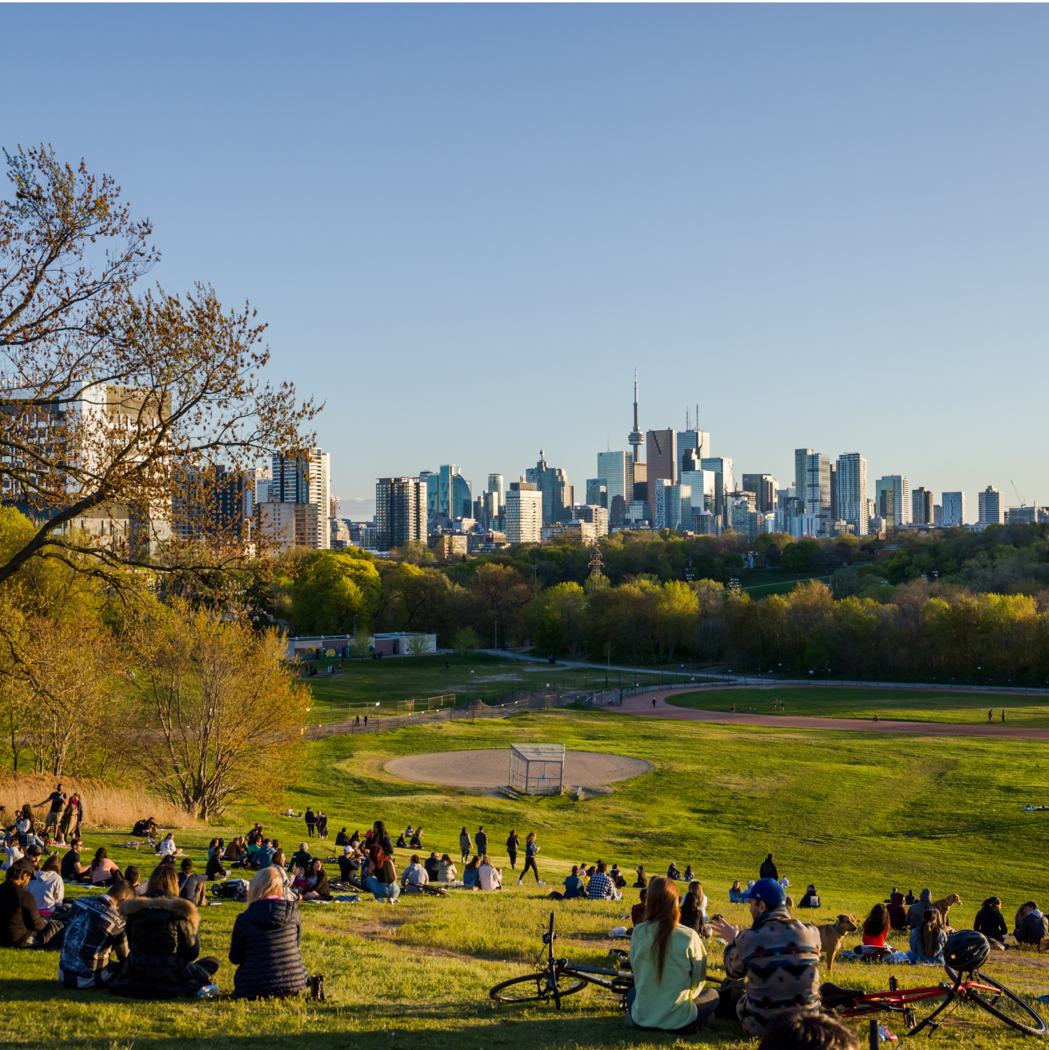 Trinity Bellwoods Park 