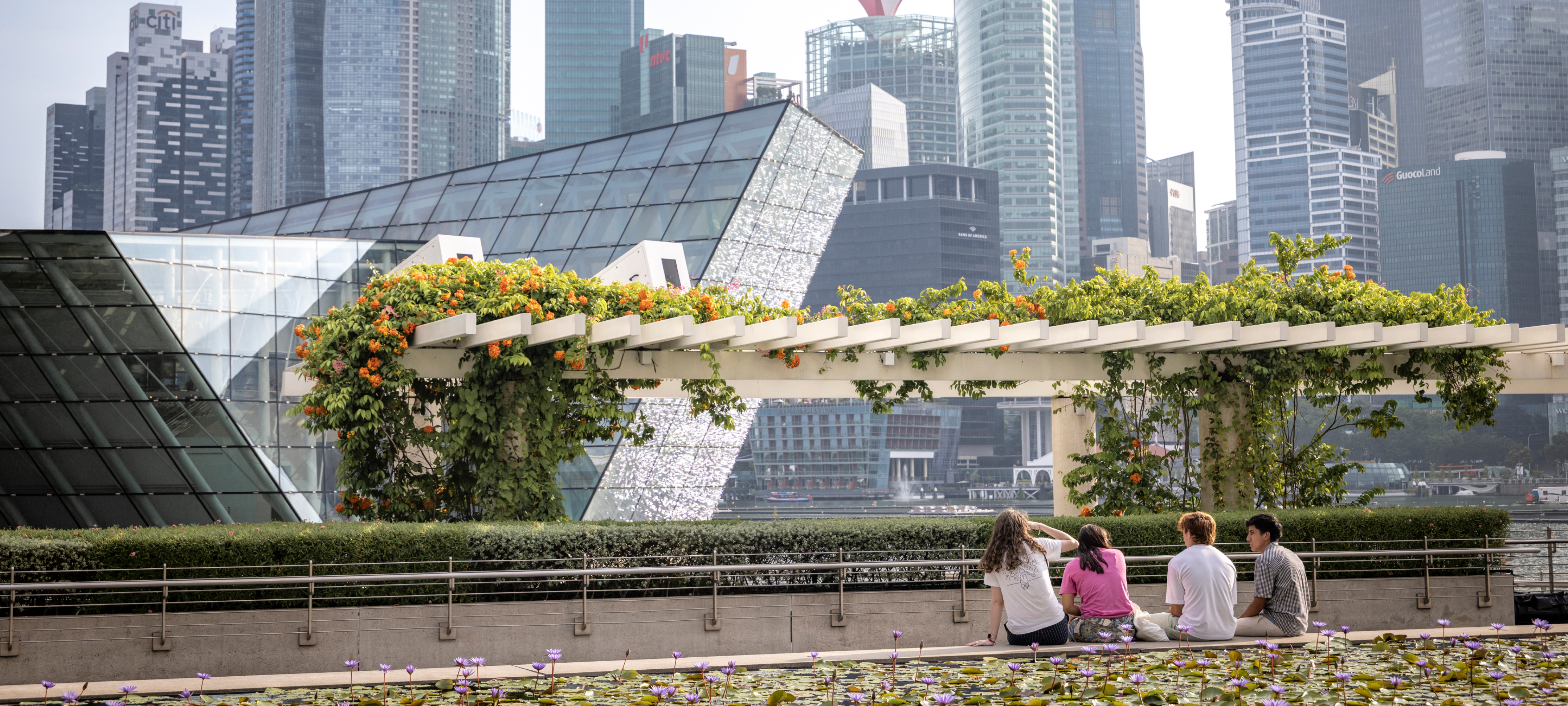 Students Enjoying City View