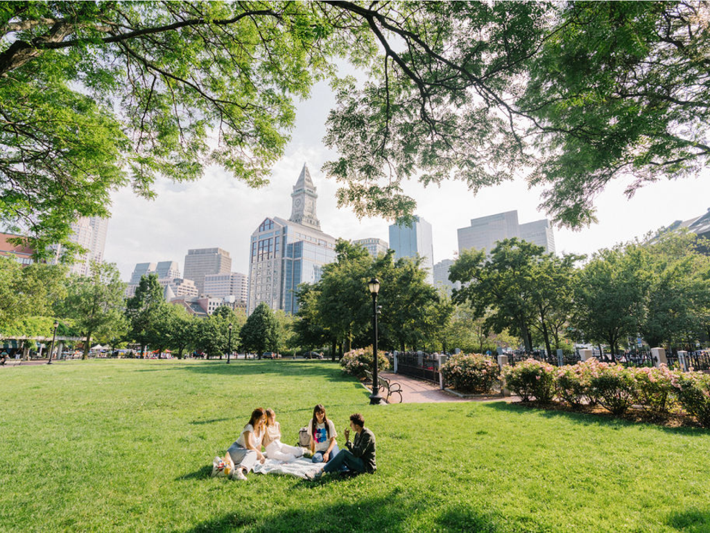 Students in park