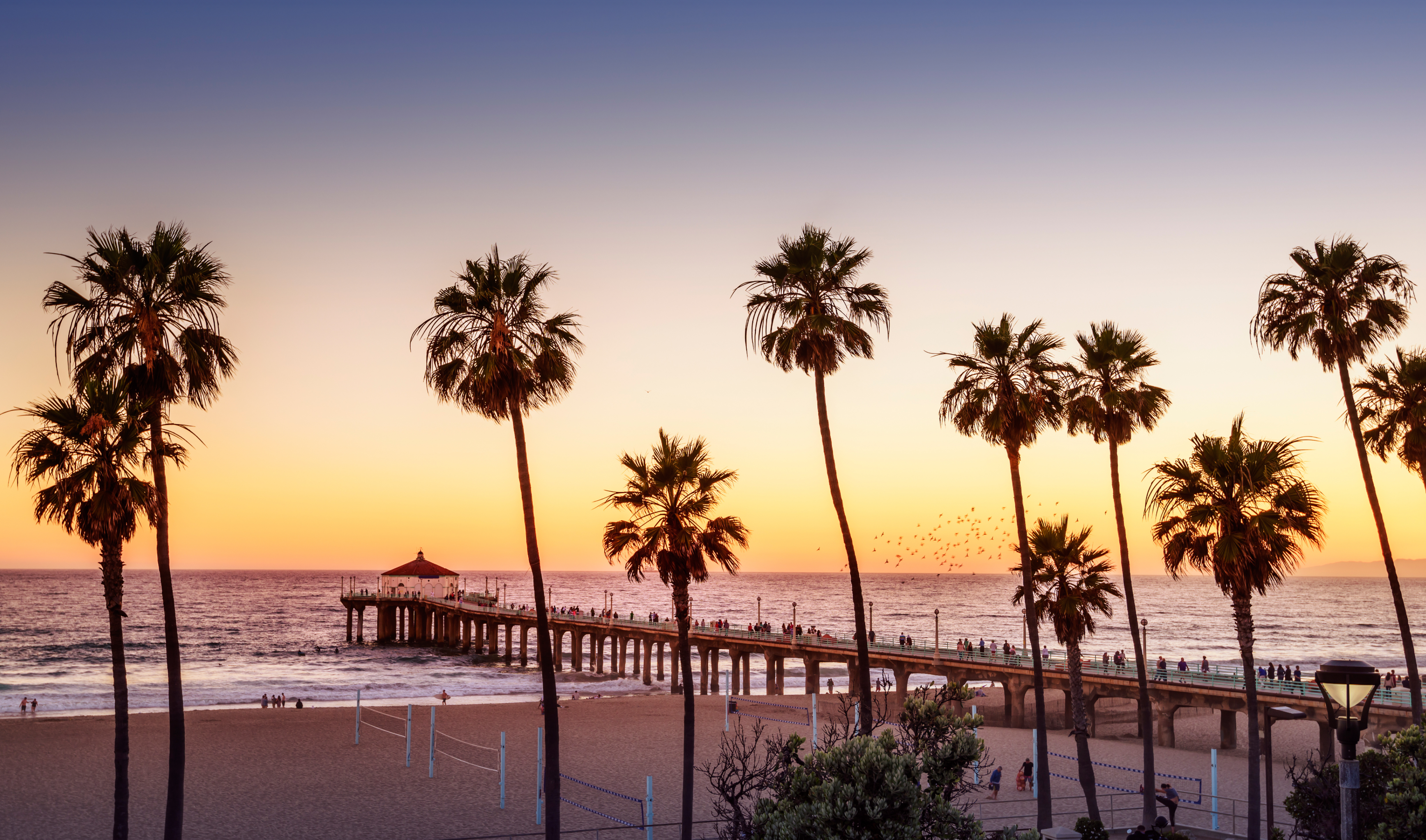 Beach View