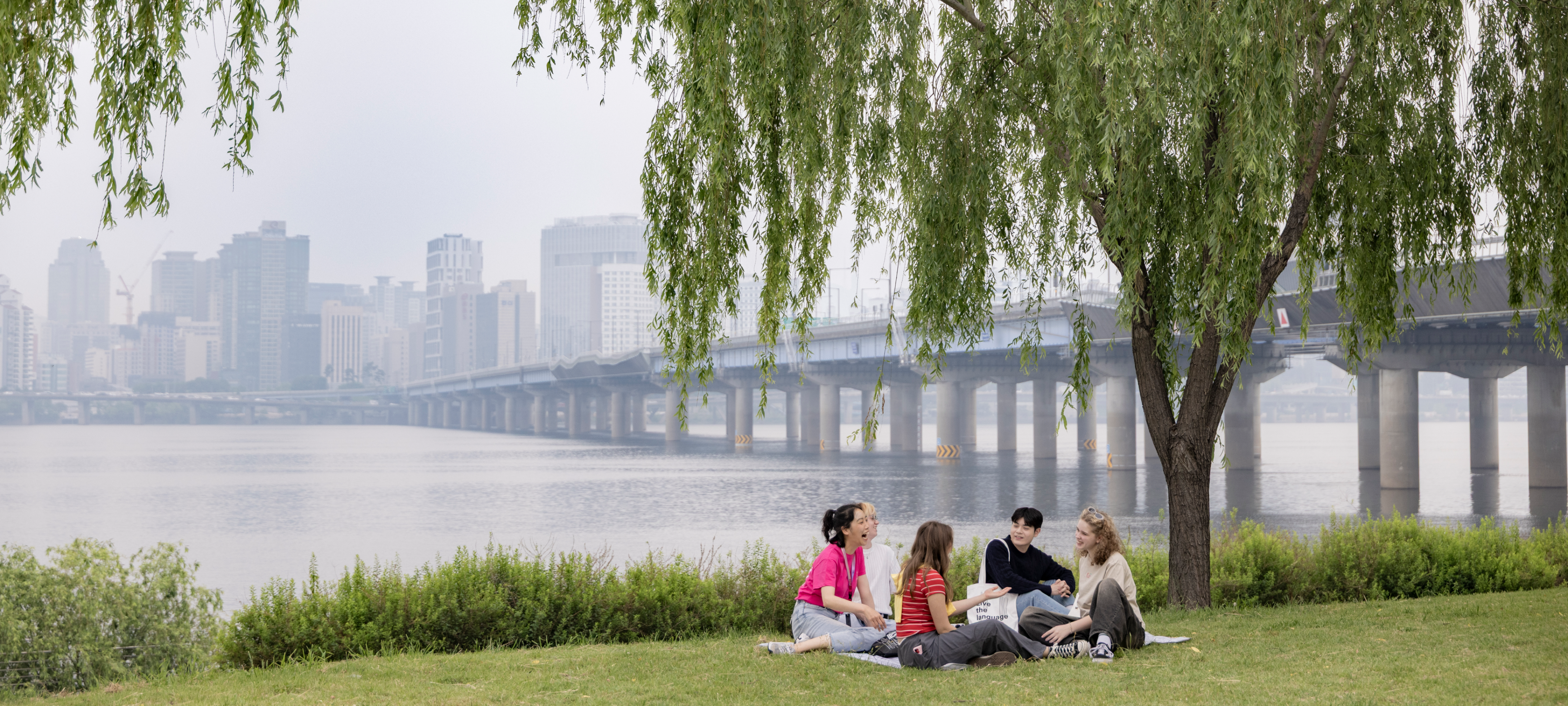 Students Talking In Lawn