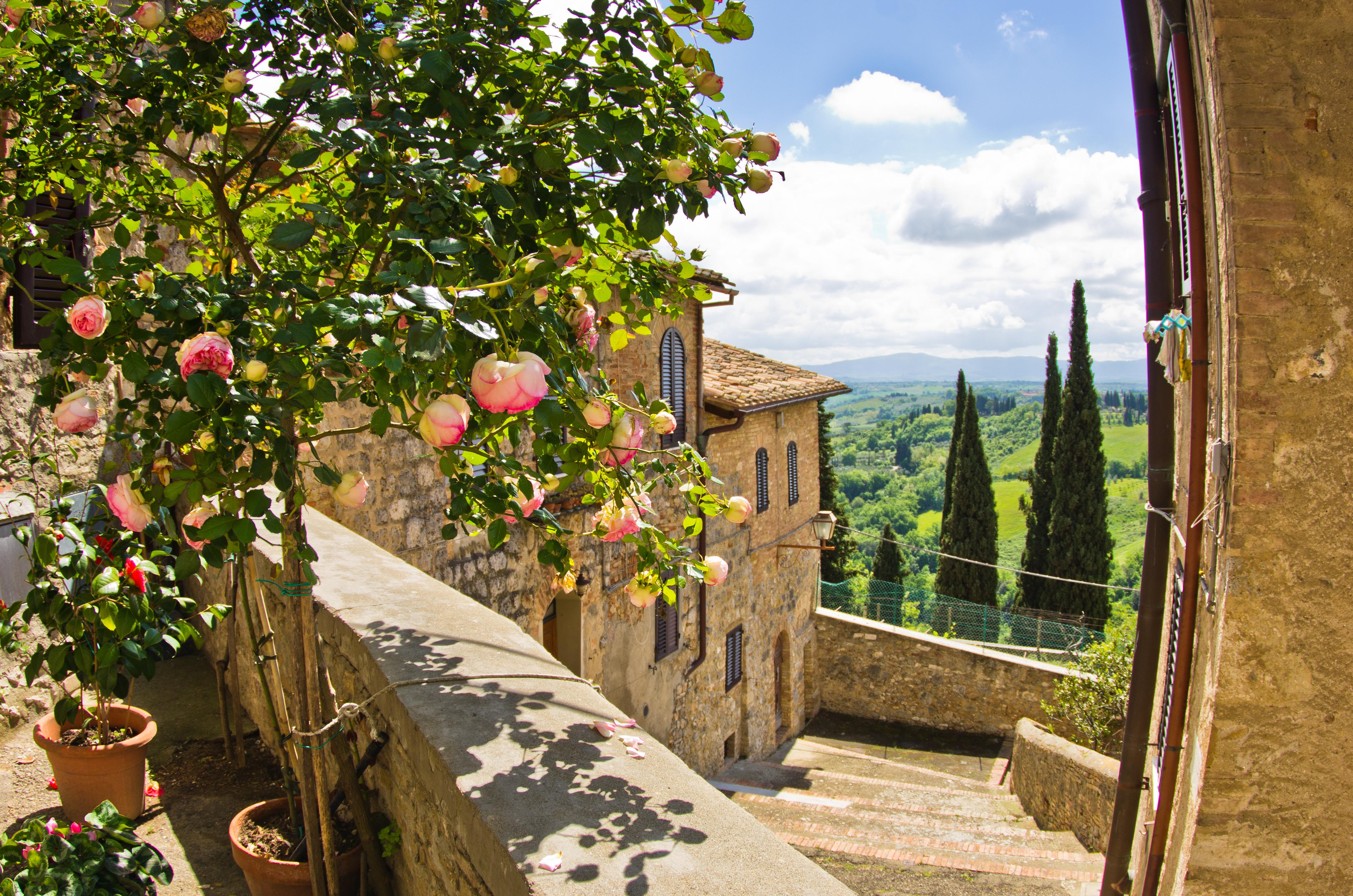 San Gimignano landmark with flowering tree and sunny sky