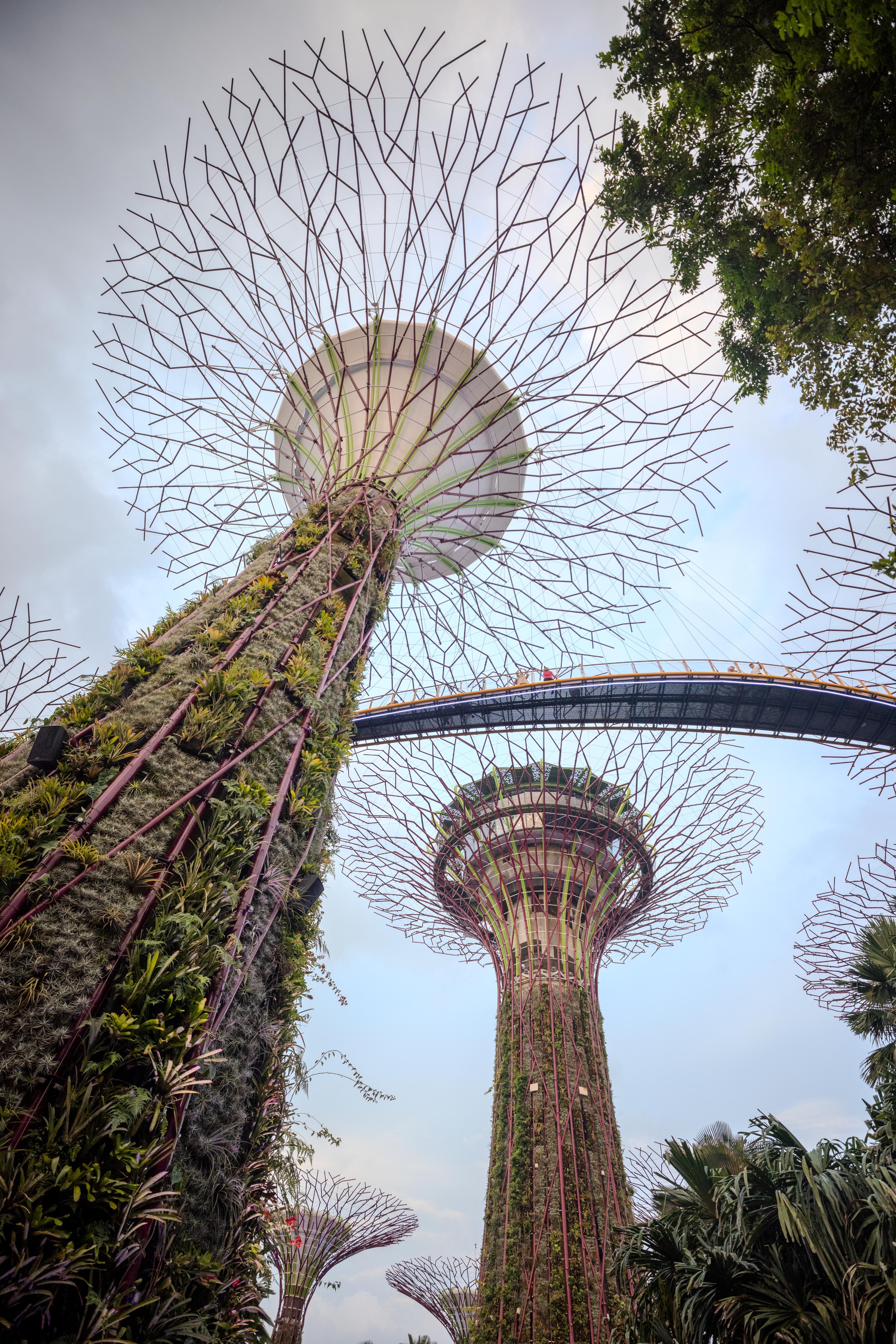 singapore Skyline