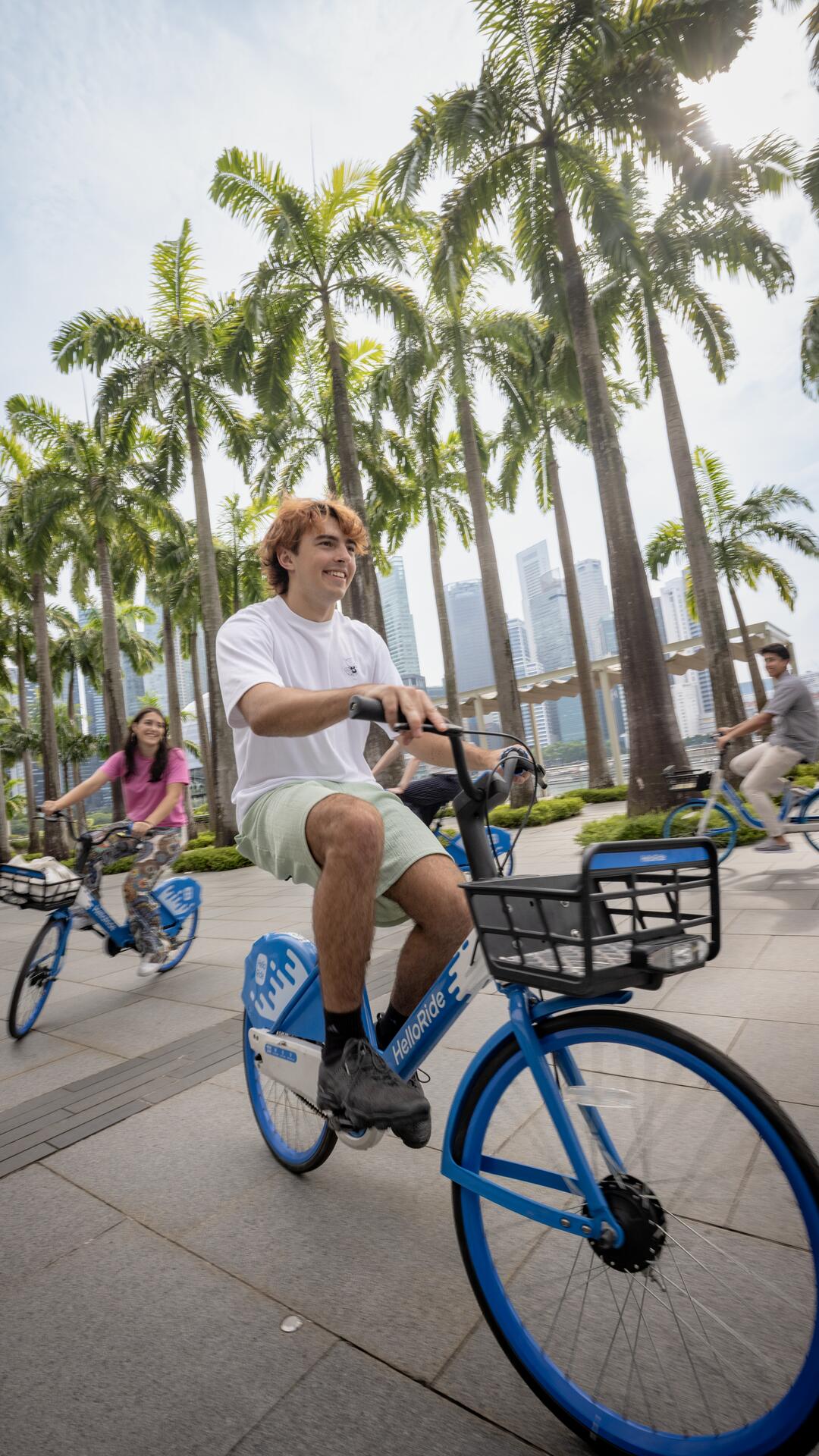 EF Language Abroad students riding bikes together along Singapore’s waterfront, cycling past palm trees with the city skyline in the background.