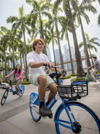 EF Language Abroad students riding bikes together along Singapore’s waterfront, cycling past palm trees with the city skyline in the background.