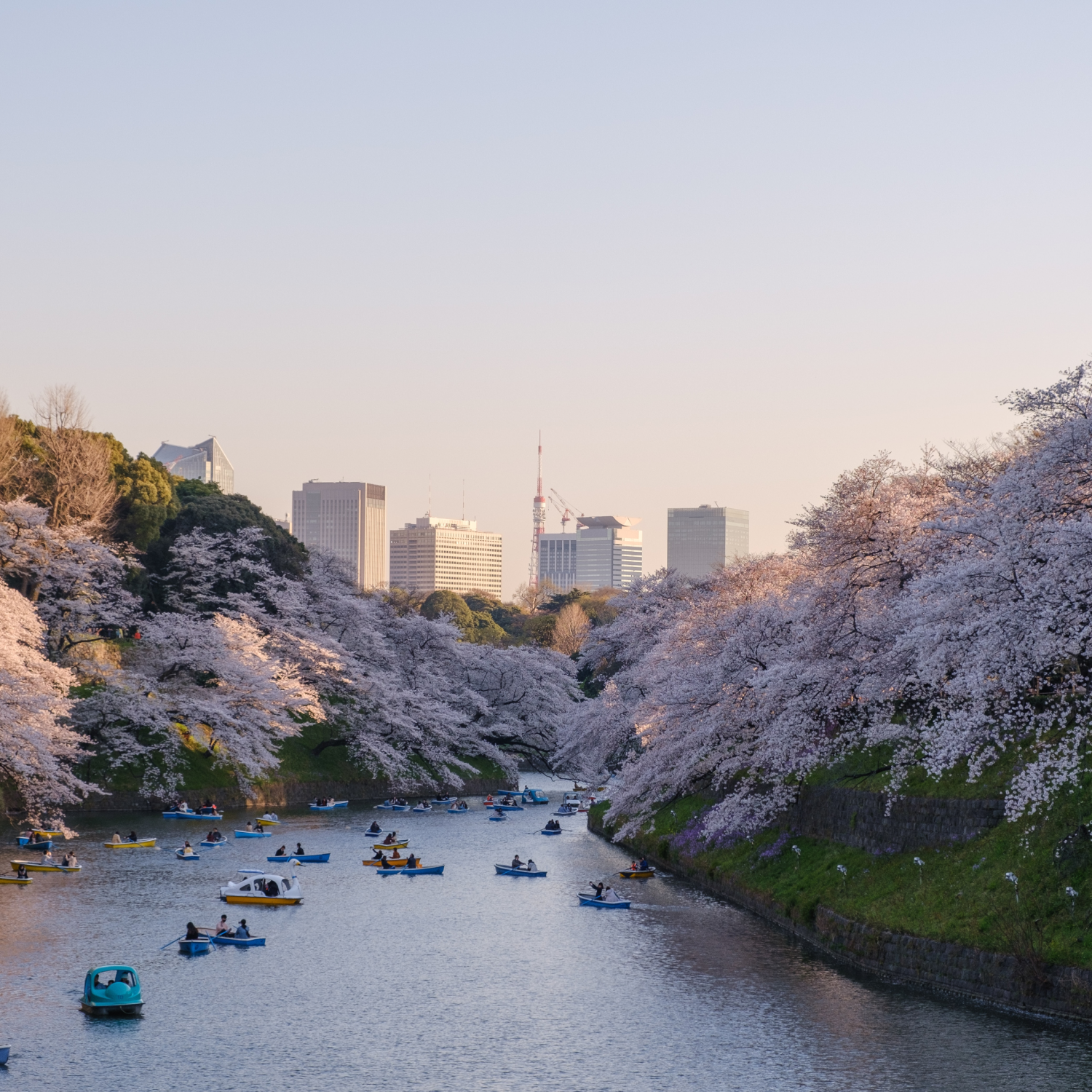 Japan