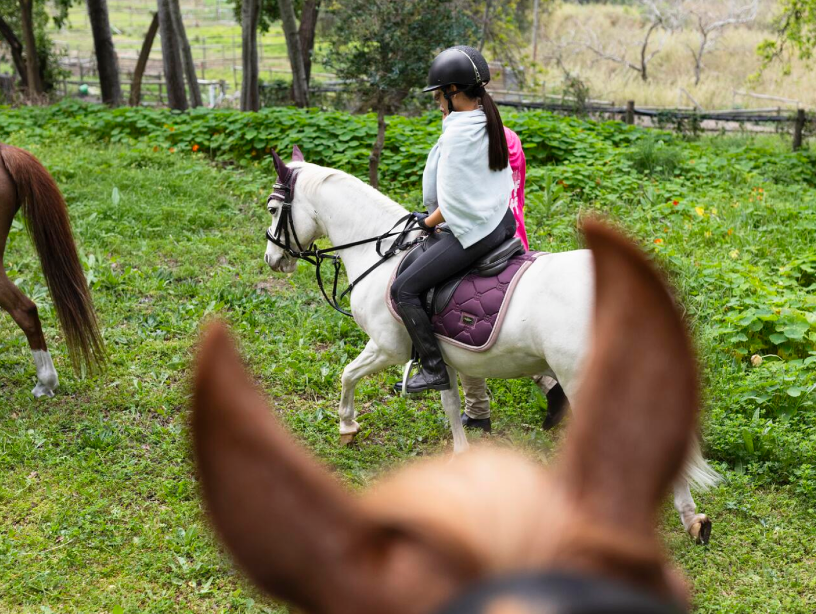 Reiten