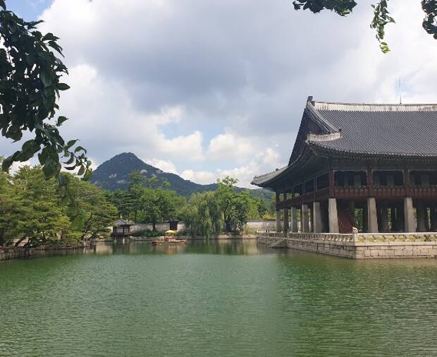 Mit EF nach Seoul: Elifs Erfahrungsbericht