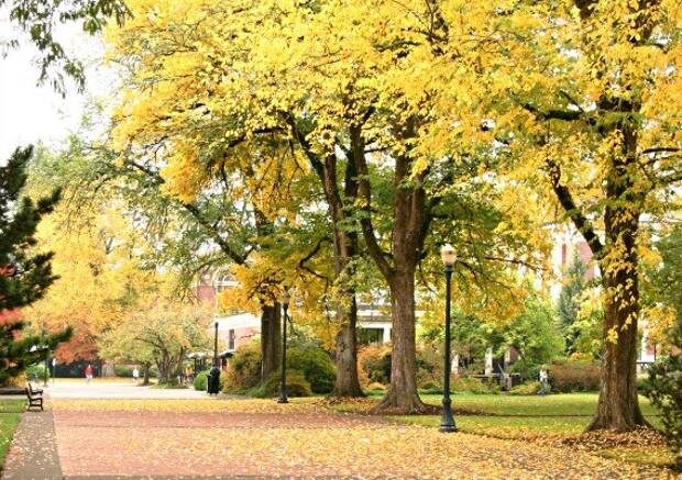 How to make the most of your American college experience