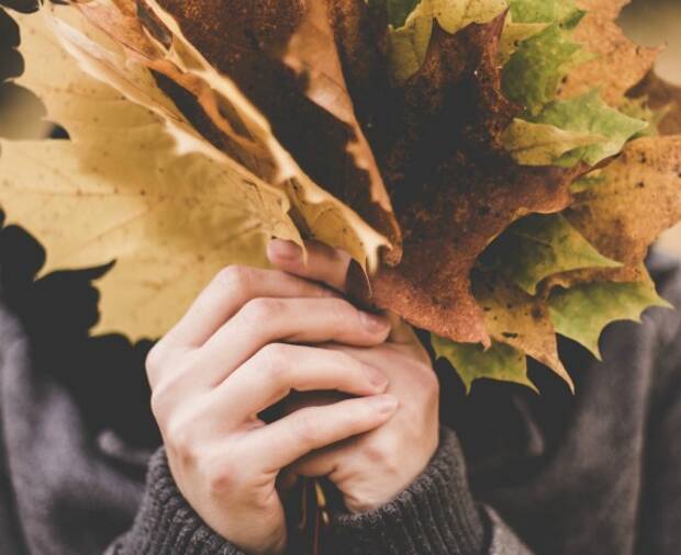 The Best Destinations to Travel to This Fall