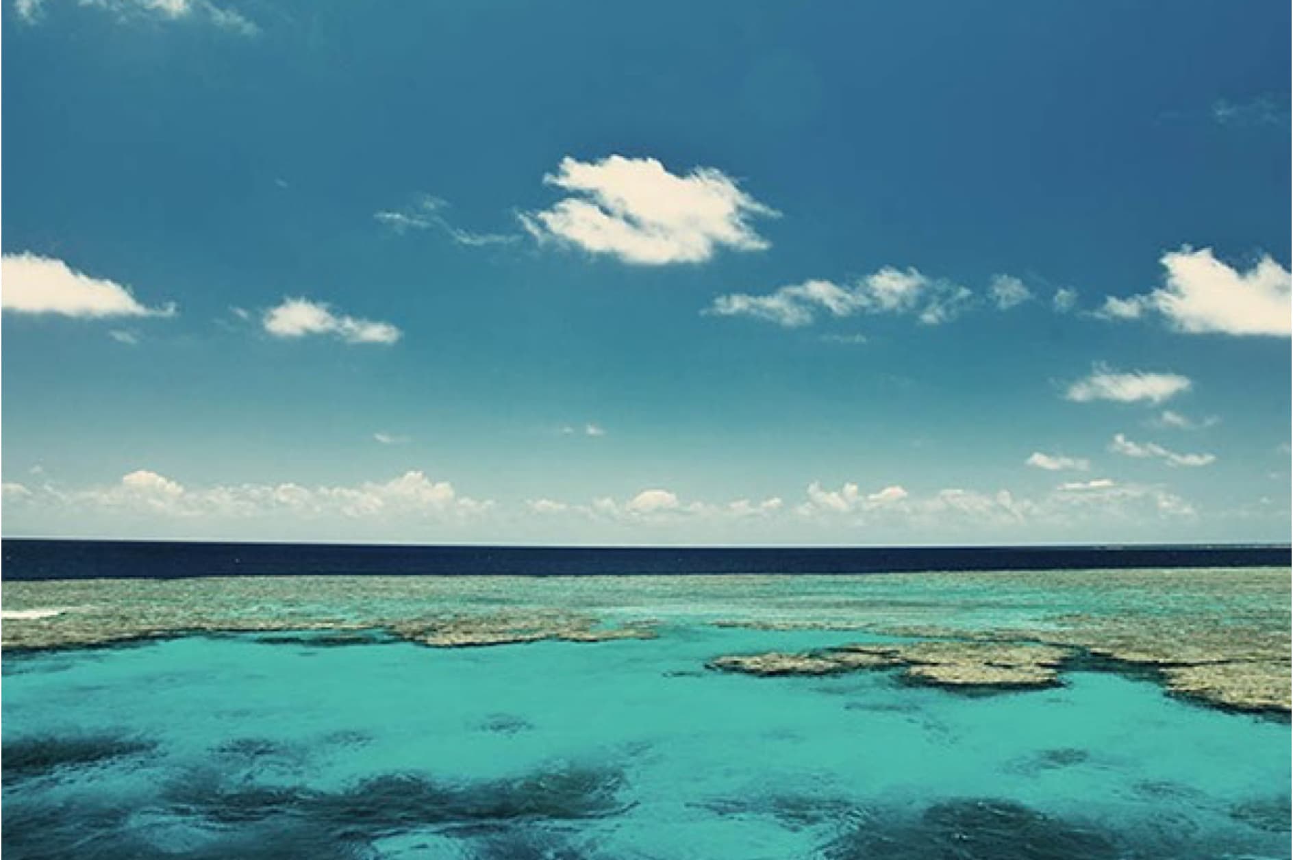 A breathtaking image of a coral reef under a blue sky with white clouds. The turquoise water is crystal clear, revealing the coral structure beneath.