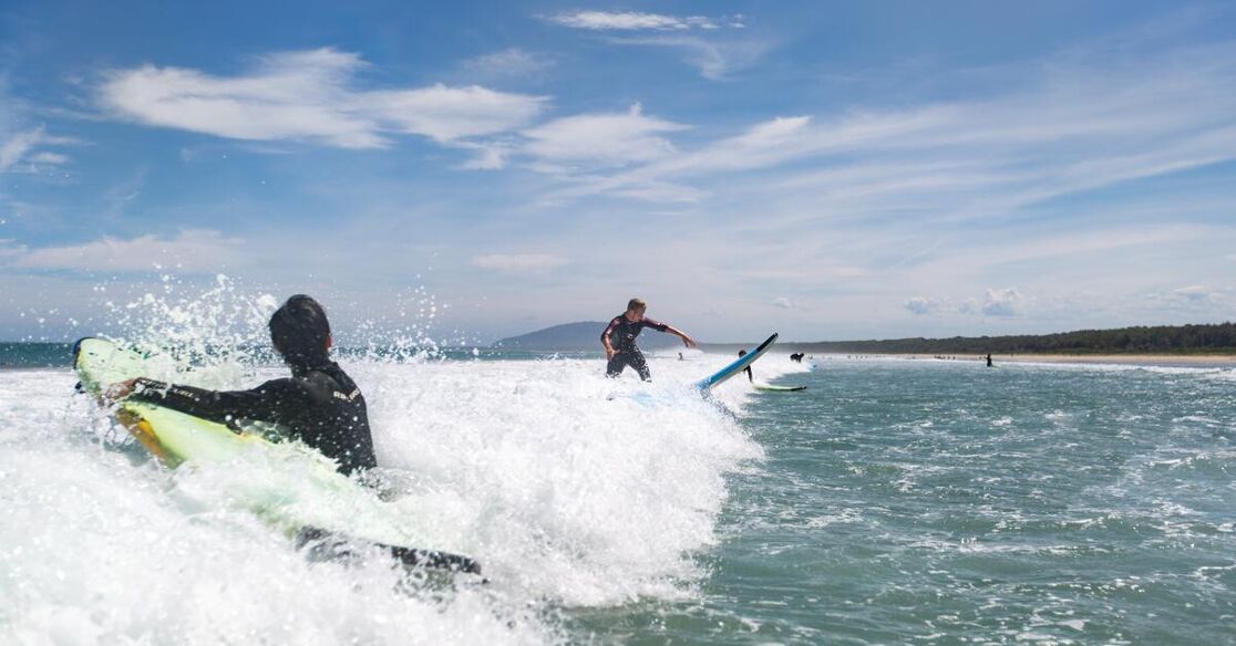 Several surfers are enjoying the waves on a sunny day at the beach, with lush vegetation lining the horizon.
