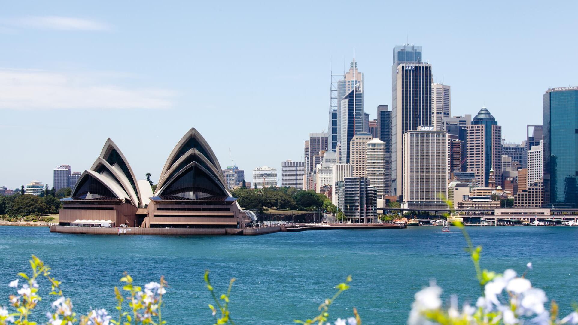The image shows a panoramic view of the Sydney Opera House and the city skyline, with a body of water in the foreground and lush greenery on the left.