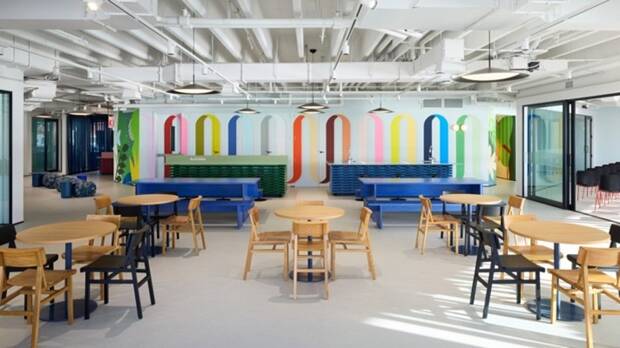 Étudier l’anglais à Auckland : quand le design devient un véritable moteur d’apprentissage