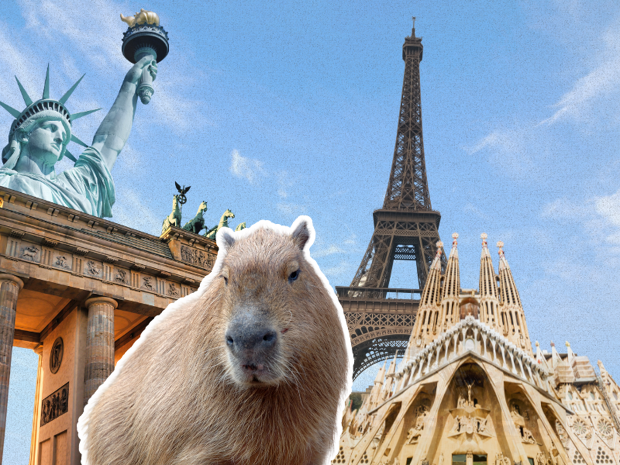 Viaggia come un Capybara: la filosofia zen per fare amicizia e imparare una lingua all’estero