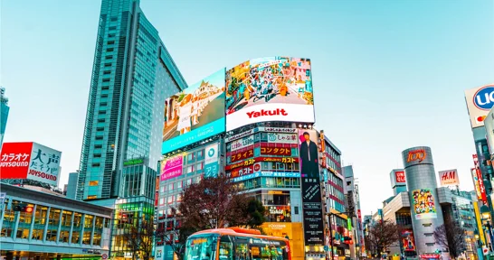 Japanese immersion programs in Tokyo