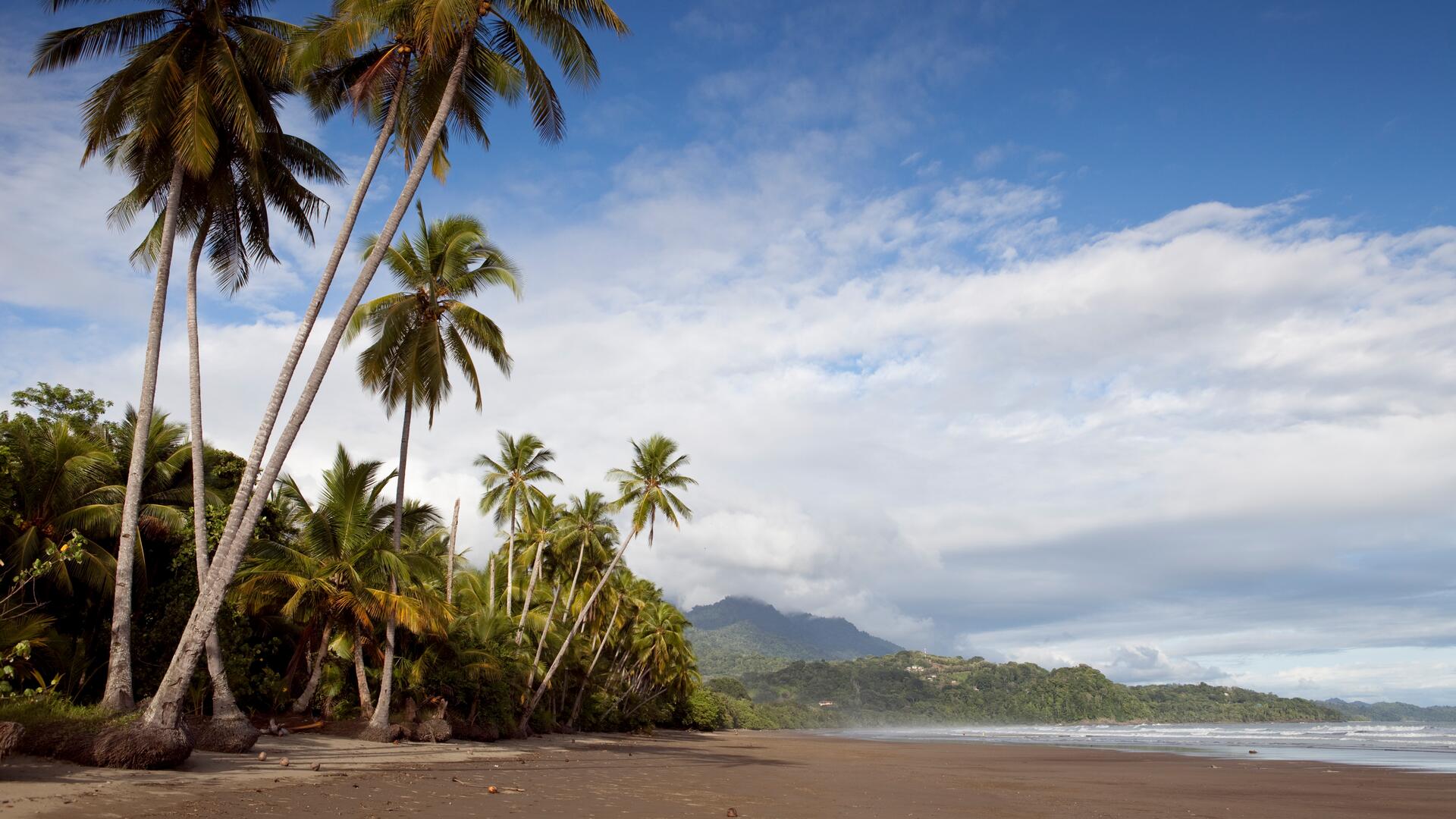 A picturesque beach lined with palm trees stretches out under a dramatic sky with clouds and a distant mountain.