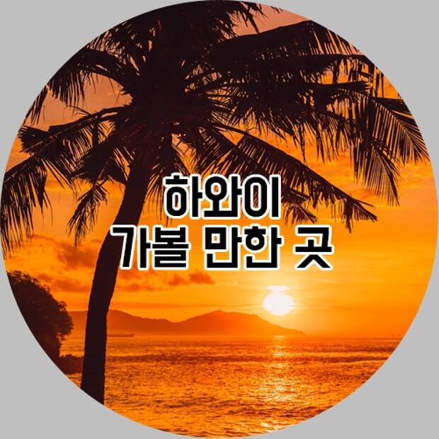 하와이 가볼 만한 곳 추천!
