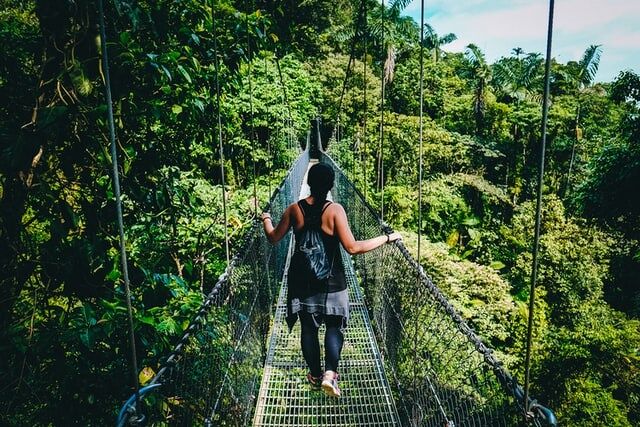 A person is crossing a suspension bridge that winds through a lush, green rainforest. The dense foliage and the height of the bridge create a sense of adventure and immersion in nature.