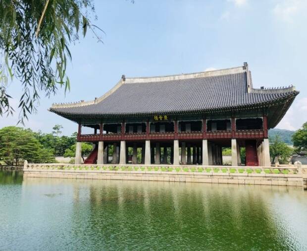 EF Erfahrung: Lara erfüllt ihren Traum in Seoul
