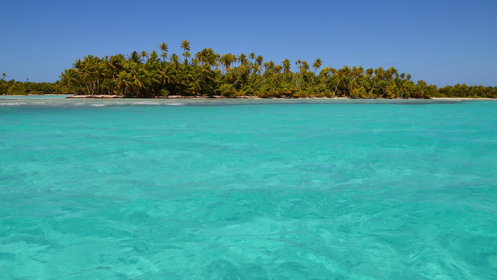 A lush, palm-fringed jungle covers a secluded island, surrounded by calm, turquoise waters stretching under a brilliant blue sky.