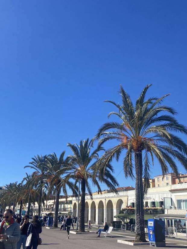 Zwei Monate in Nizza - Gaia erzählt