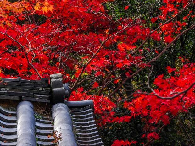 7 Destinos de otoño & por qué elegirlos