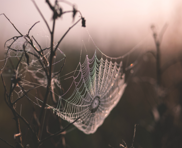11 go-to Halloween games and activities