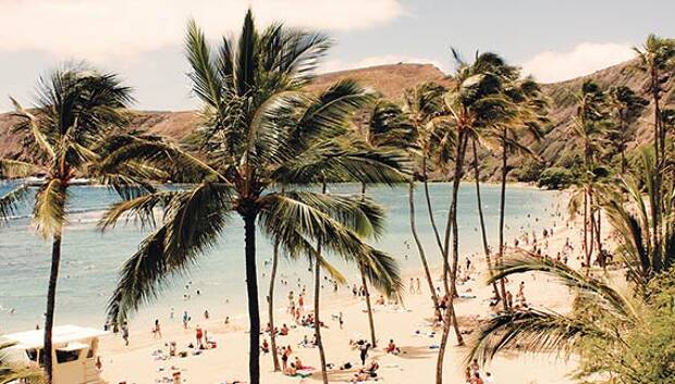 DYKNING PÅ HAWAII