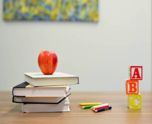 Your mini guide to surviving report card season