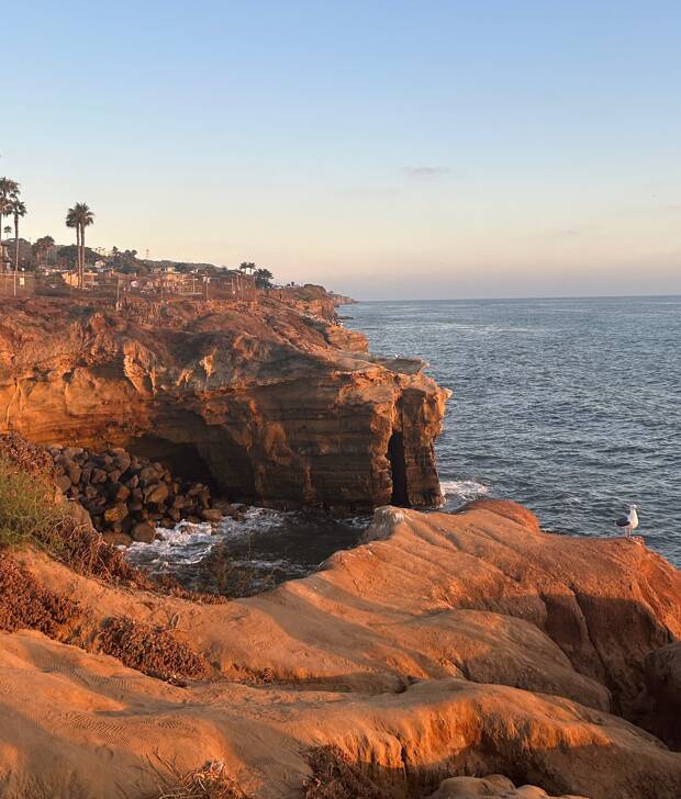 California Dreamin' mit EF: Kristins Sprachreise-Erfahrung in San Diego