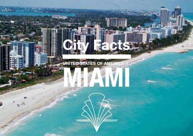 De magische stad: Miami Infographic
