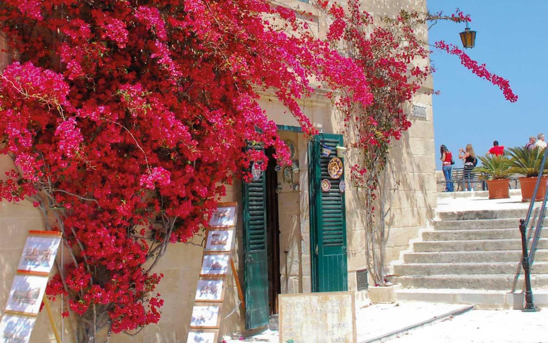 A vibrant bougainvillea bush with bright red flowers cascades down a stone facade, featuring green shutters and a stone staircase leading to a doorway.