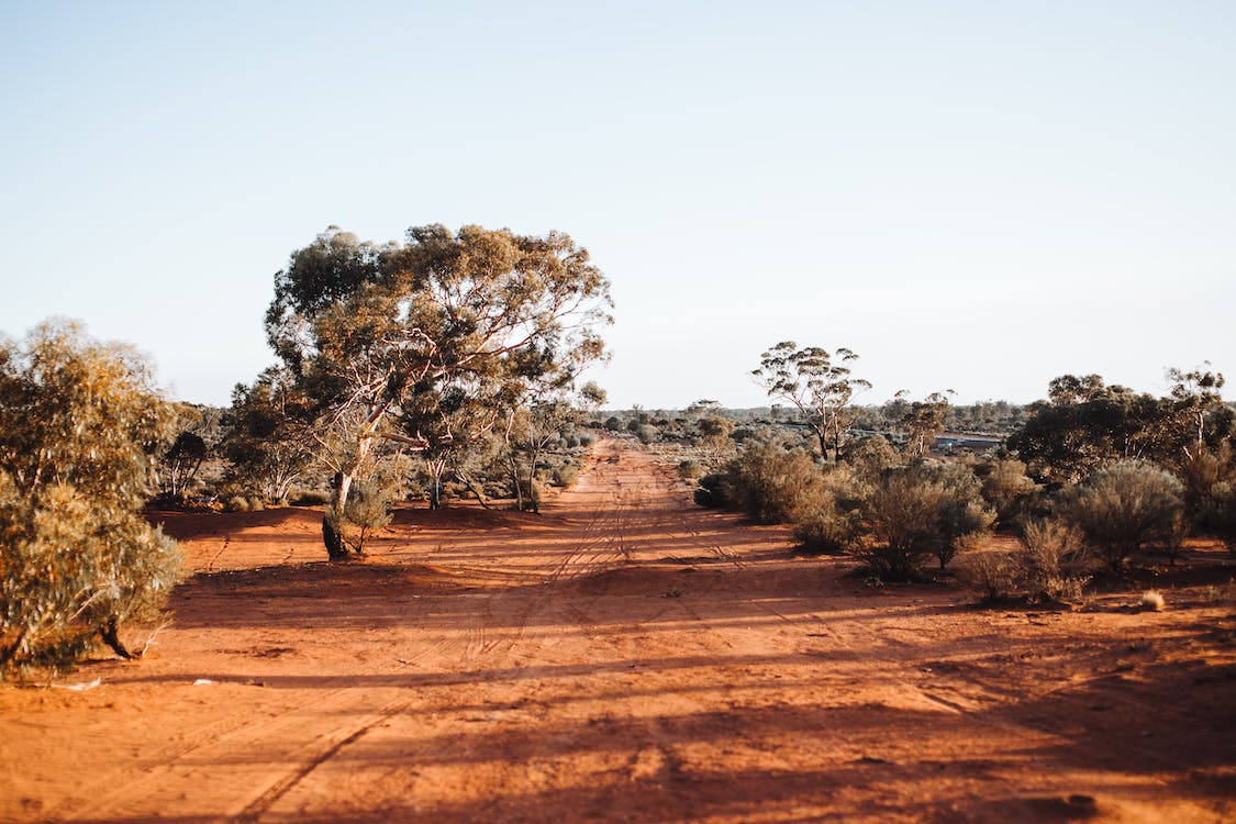 A dirt road stretches through a dry, Australian landscape with sparse trees and red earth under a clear blue sky.