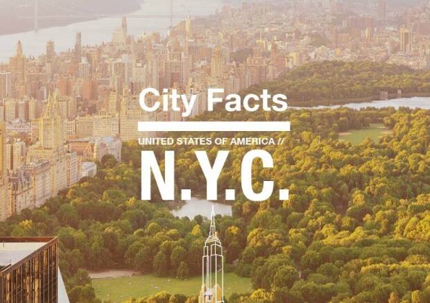 The Big Apple in a Nutshell: New York Infographic