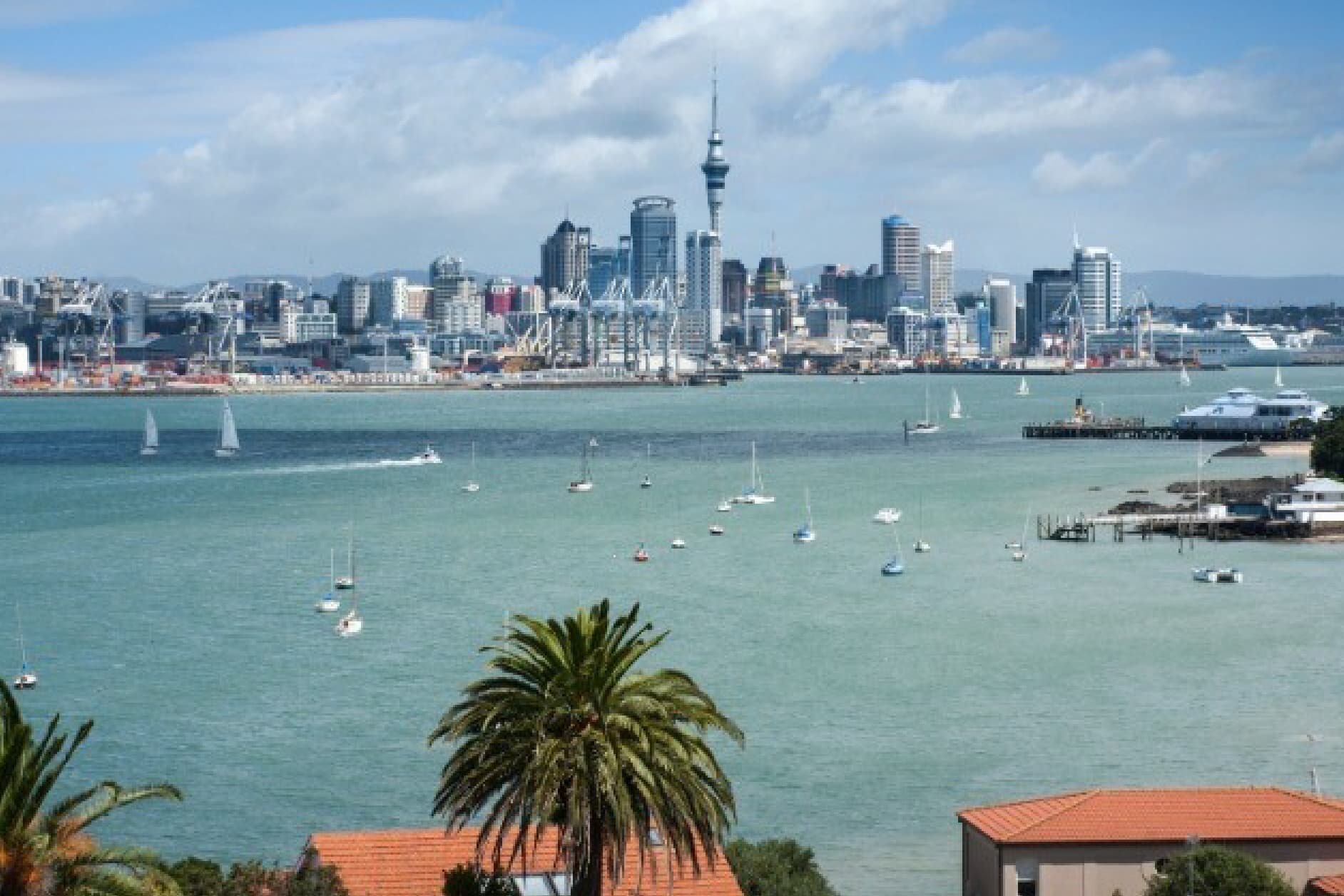 A panoramic view of the Auckland, New Zealand skyline, featuring the Sky Tower at its center, with sailboats dotting the water and palm trees in the foreground.