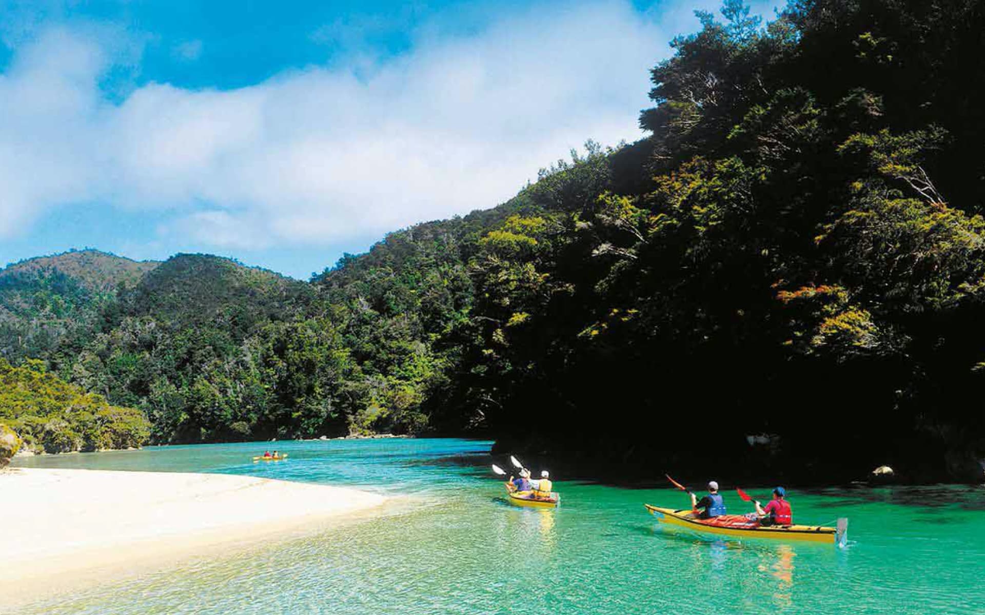 Kayakers paddle through crystal-clear turquoise waters, surrounded by lush green forests and a sandy beach under a bright blue sky with fluffy clouds.