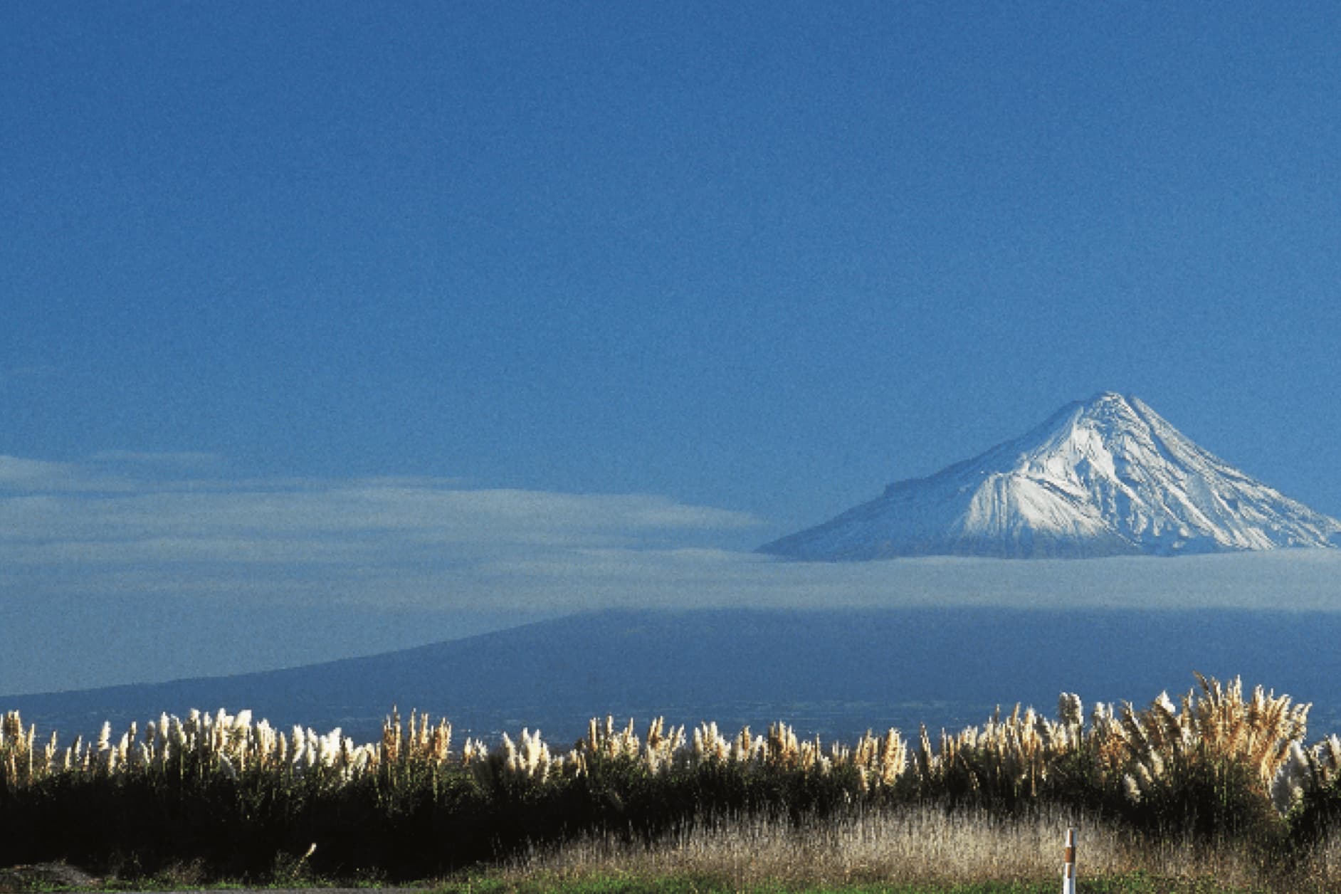 A majestic snow-capped mountain pierces through a layer of clouds, set against a vast, clear blue sky. In the foreground, golden grasses sway gently, adding a touch of natural beauty to the serene landscape.