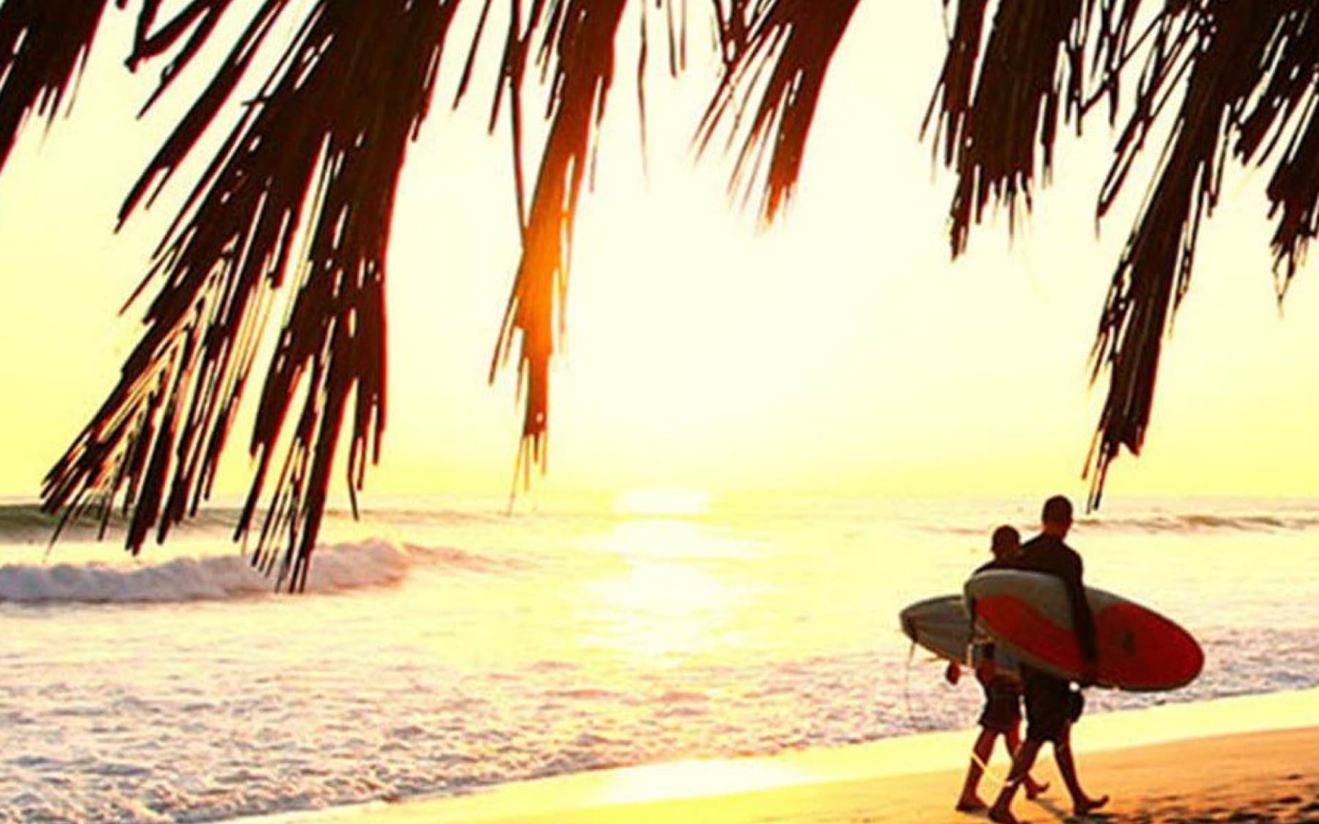 Two surfers walk along the beach at sunset, carrying their surfboards. Palm leaves cast a shadow over the scene.