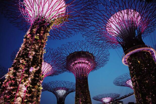 Perché dovresti studiare Cinese a Singapore