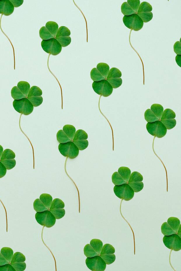 5 Mejores ciudades para celebrar St Patrick's Day